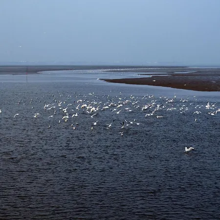 Flut, Vermittlung Nordsee Apartament Dangast